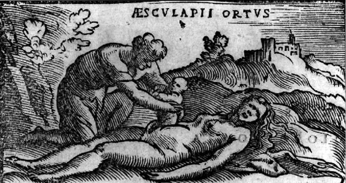 800px-The-extraction-of-Asclepius-from-his-mother-Coronisabdomen-by-his-father-Apollo-Woodcut